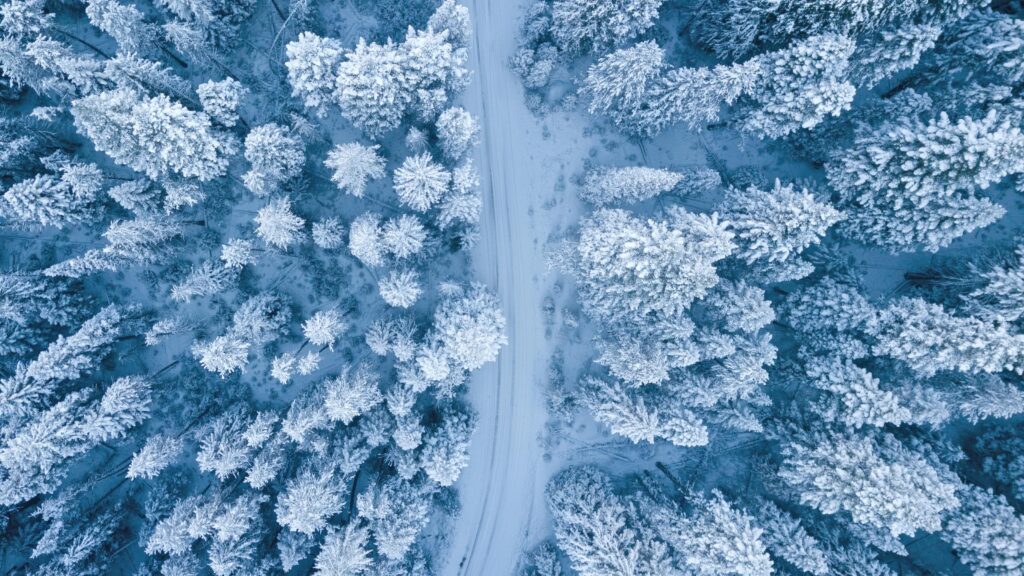 A mesmerizing aerial perspective of a snowy winter forest with a winding path.